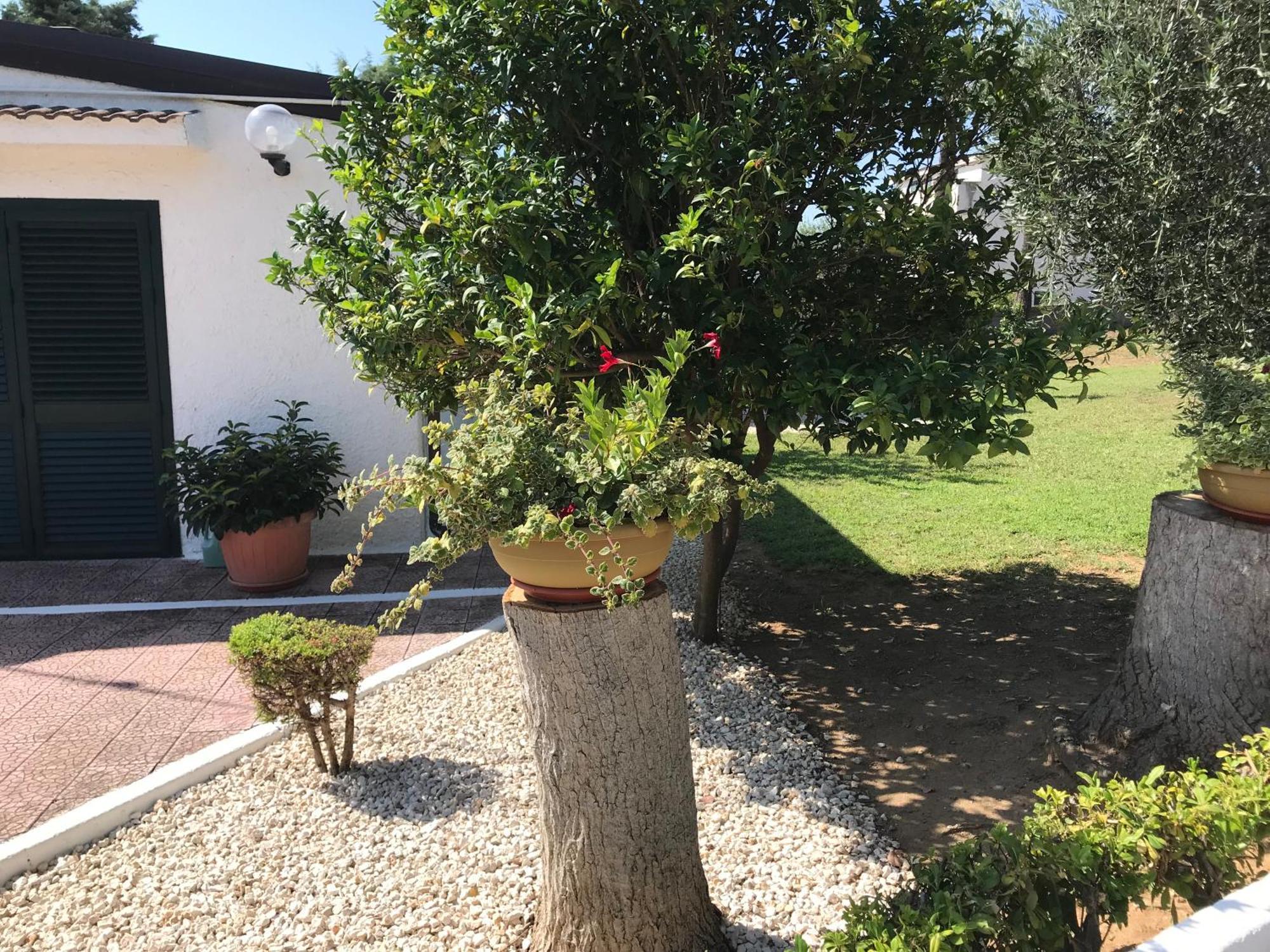 Villa Il Carrubo - Basilicata Pisticci Exterior foto